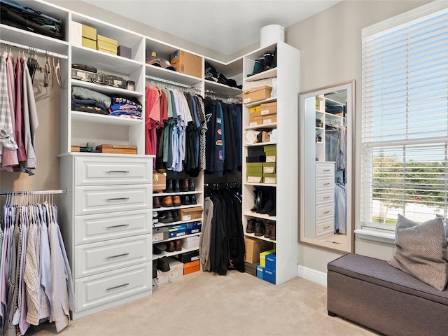 walk in closet with carpet floors