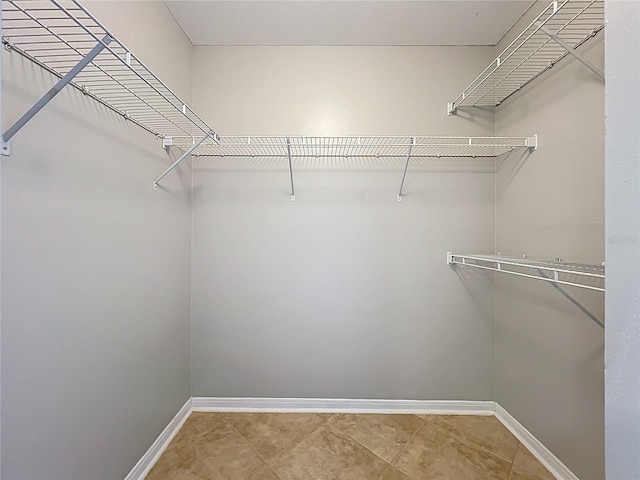 view of spacious closet