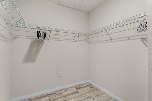 9005 Tuscan Cypress St, Kissimmee, FL 34747 - spacious closet with light wood finished floors and attic access