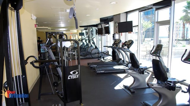 workout area with expansive windows