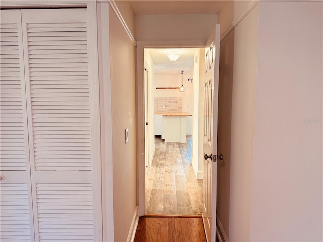 7808 The Esplanade Ct, Orlando, FL 32836 - hall with light wood-style floors and baseboards