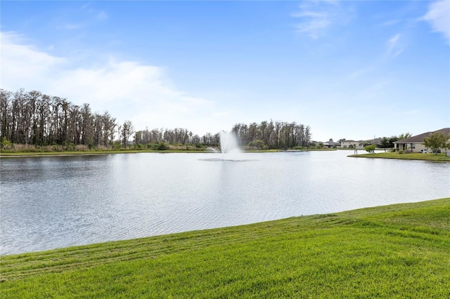 3936 Parkhouse Dr, Orlando, FL 32824 - view of water feature