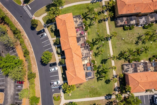 drone / aerial view