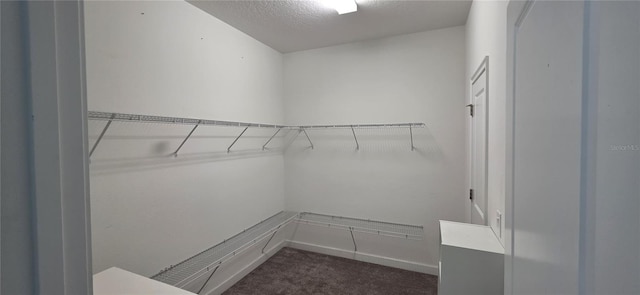 3043 Beaver Creek Dr, Kissimmee, FL 34746 - spacious closet featuring dark carpet
