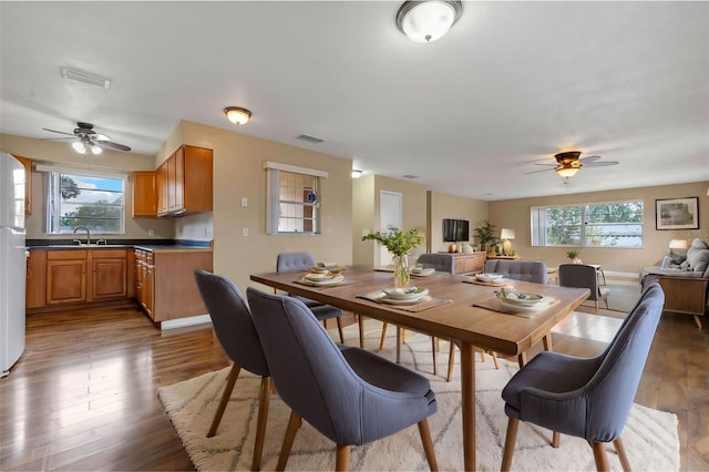 dining area featuring wood finished floors, a ceiling fan, and plenty of natural light
