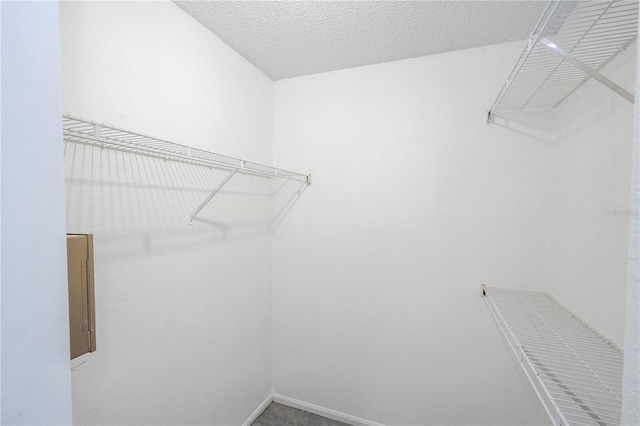 5136 Park Central Dr Unit 212, Orlando, FL 32839 - view of walk in closet