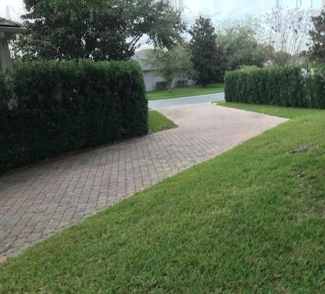 view of yard