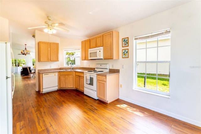 151 Bell Tower Xing W, Kissimmee, FL 34759 - kitchen with white appliances, a sink, healthy amount of natural light, ceiling fan, and lofted ceiling