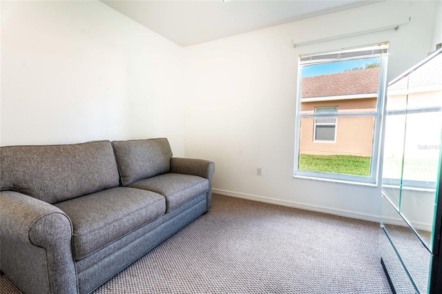 151 Bell Tower Xing W, Kissimmee, FL 34759 - living area with carpet and baseboards