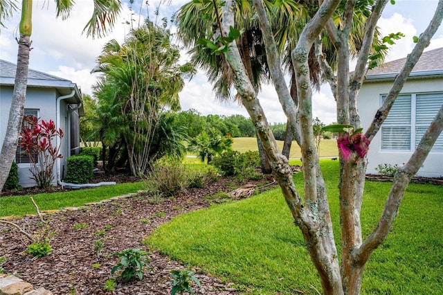 151 Bell Tower Xing W, Kissimmee, FL 34759 - view of grassy yard