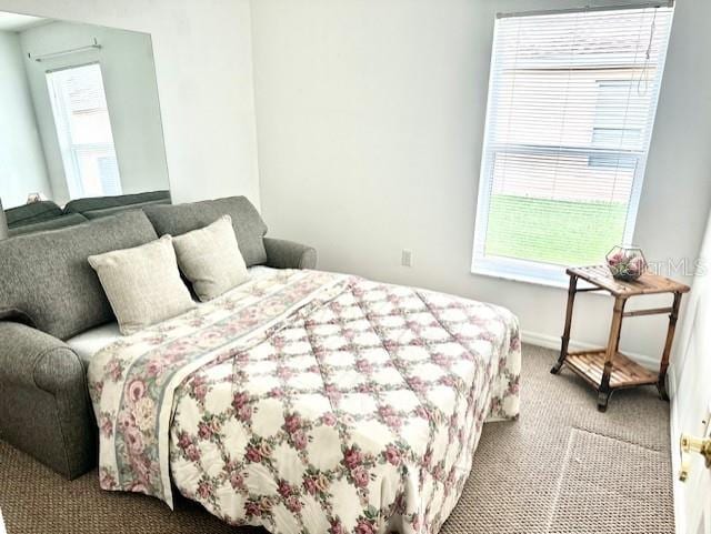 151 Bell Tower Xing W, Kissimmee, FL 34759 - carpeted bedroom with multiple windows