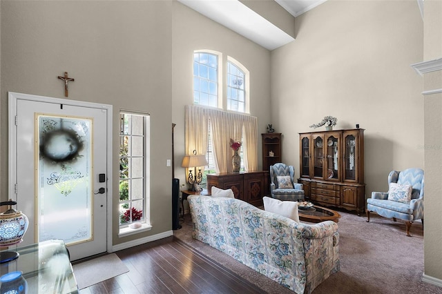 3033 Zaharias Dr, Orlando, FL 32837 - living room with a high ceiling, wood finished floors, and baseboards