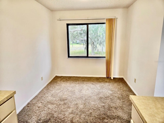 5 Buck Cir # B5, Haines City, FL 33844 - unfurnished room with carpet, a textured ceiling, and baseboards