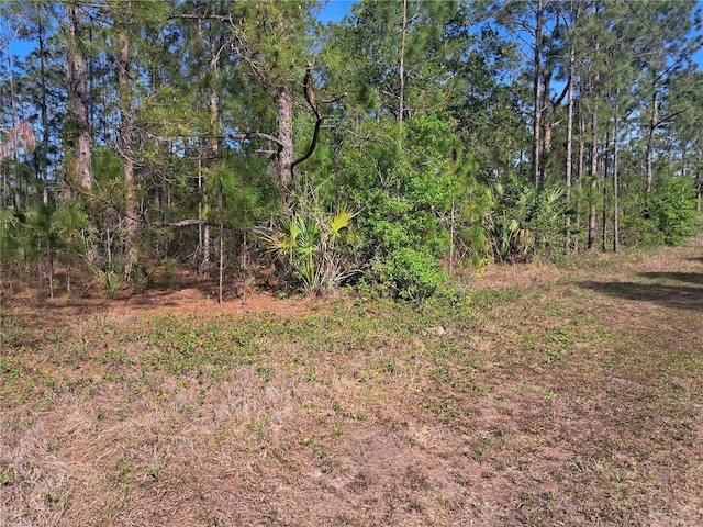 604 Camellia Dr, Indian Lake Estates, FL 33855
