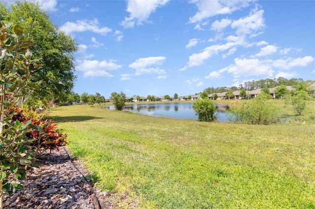 water view with a residential view