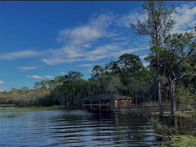 dock area with a forest view and a water view