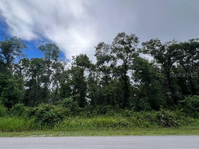 3307 E Lee Dr, Inverness, FL 34453 - photo 2