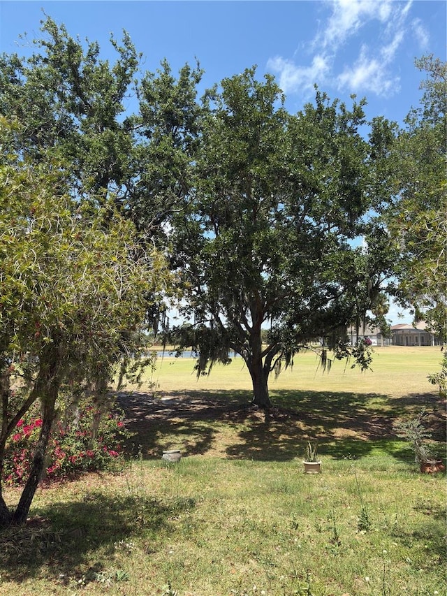 422 Janice Kay Pl, Kissimmee, FL 34744 - view of yard