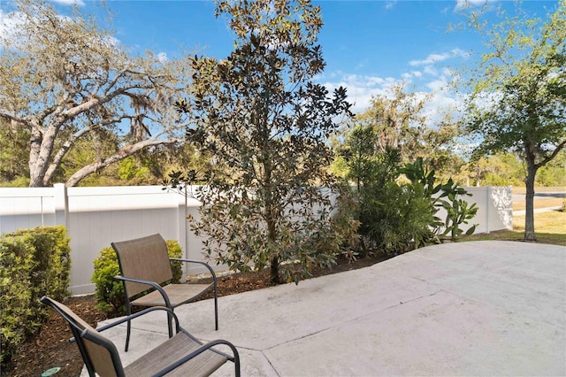 11150 Whistling Pine Way, Orlando, FL 32832 - view of patio / terrace featuring a fenced backyard