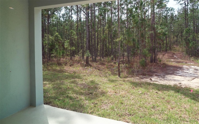 view of yard featuring dirt driveway