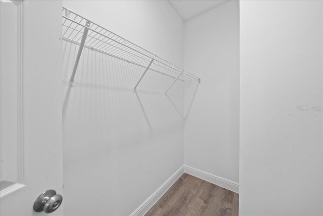 spacious closet with dark wood-type flooring