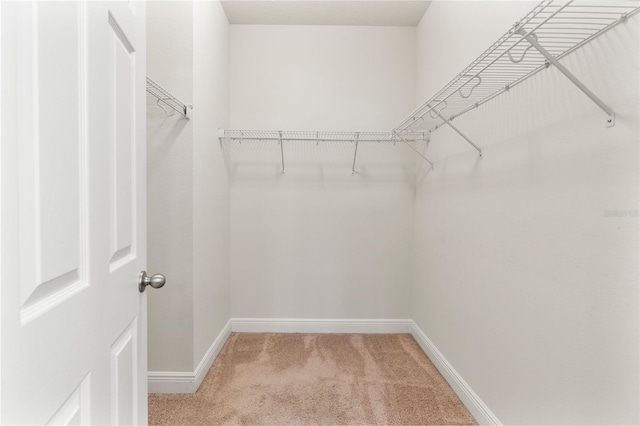1052 Avila Ln, Orlando, FL 32803 - photo 13