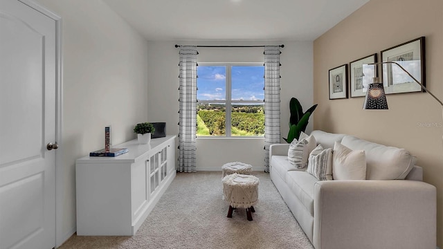 33609 Seattle Slew Dr, Sorrento, FL 32776 - living room featuring baseboards and light colored carpet