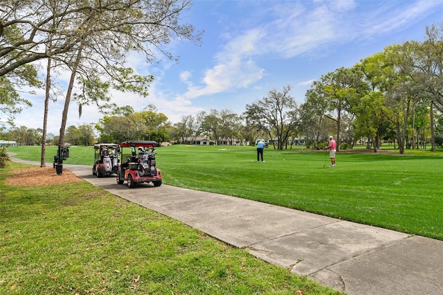 2444 Grandfather Mtn, Spring Hill, FL 34606 - surrounding community with a yard and concrete driveway