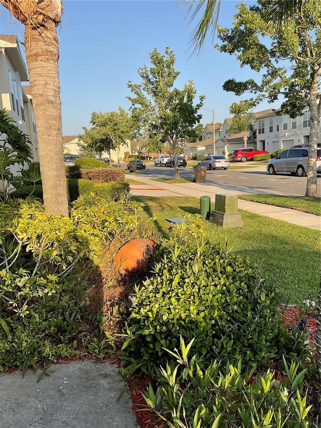2737 Merrieweather Ln, Kissimmee, FL 34743 - view of yard featuring a residential view