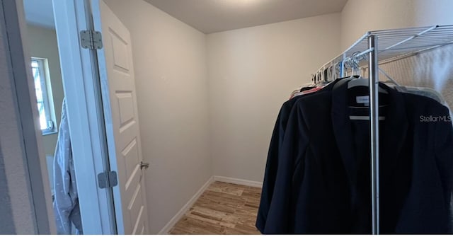spacious closet with light wood-type flooring