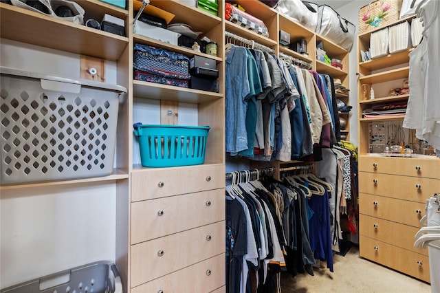 10662 Woodchase Cir, Orlando, FL 32836 - walk in closet with carpet floors