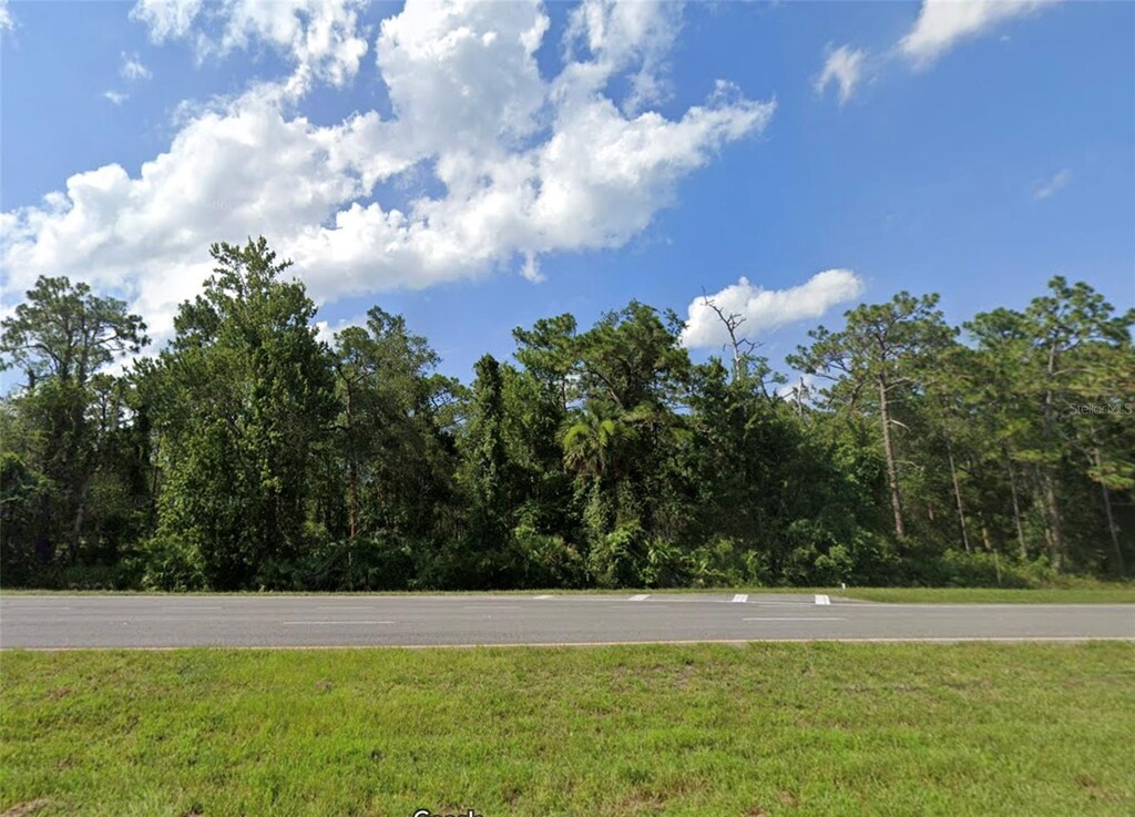 23725 E Colonial Dr, Christmas, FL 32709 - photo 1