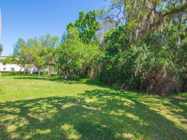view of green lawn