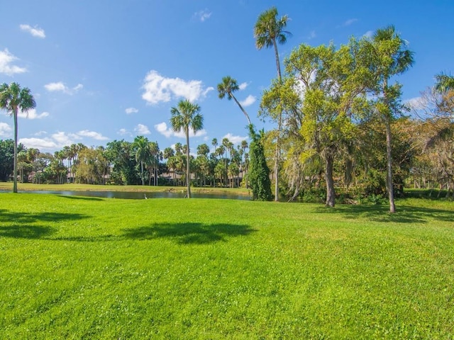 view of property's community featuring a water view and a lawn