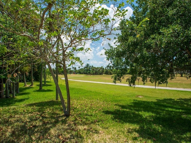 view of community featuring a lawn