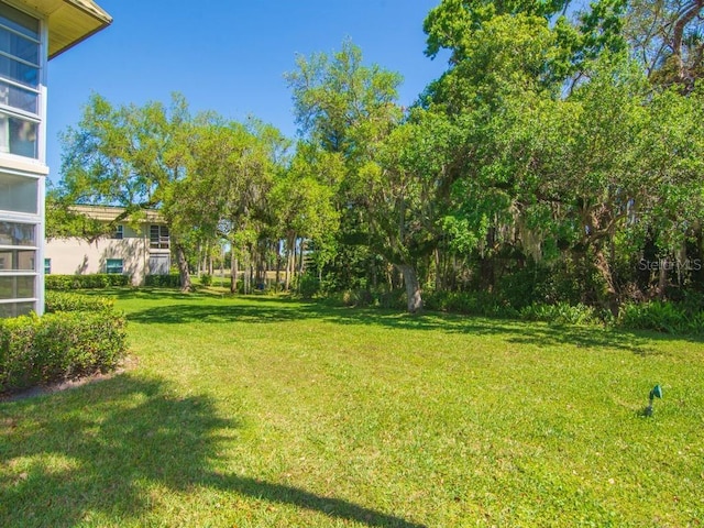 view of grassy yard