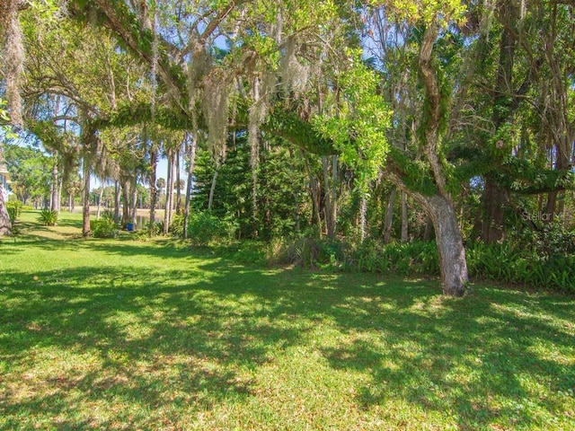 view of grassy yard