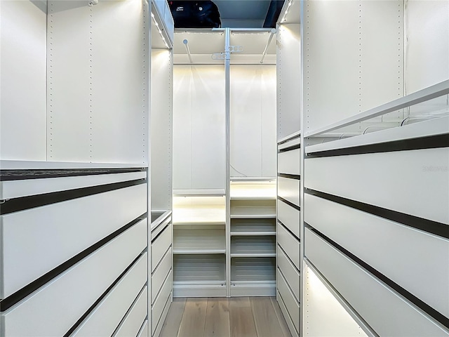 2240 Osprey Ave, Orlando, FL 32814 - walk in closet with light wood-style flooring