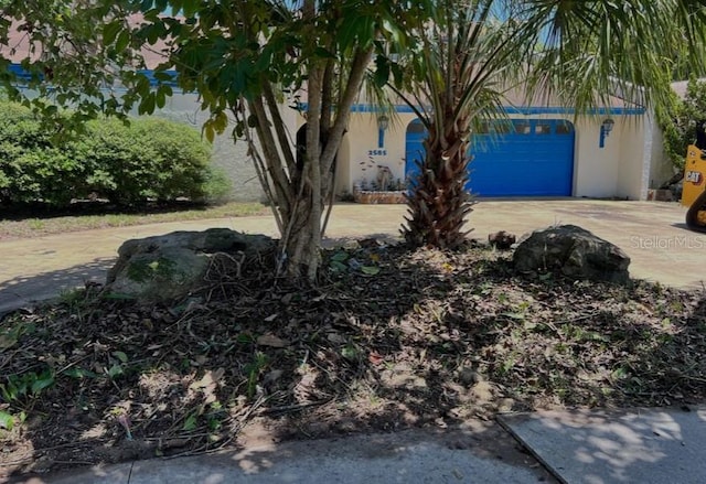 2585 Buena Vista Dr, Titusville, FL 32780 - photo 3