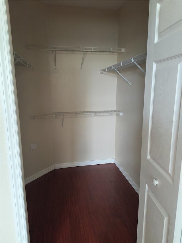 spacious closet featuring dark wood finished floors