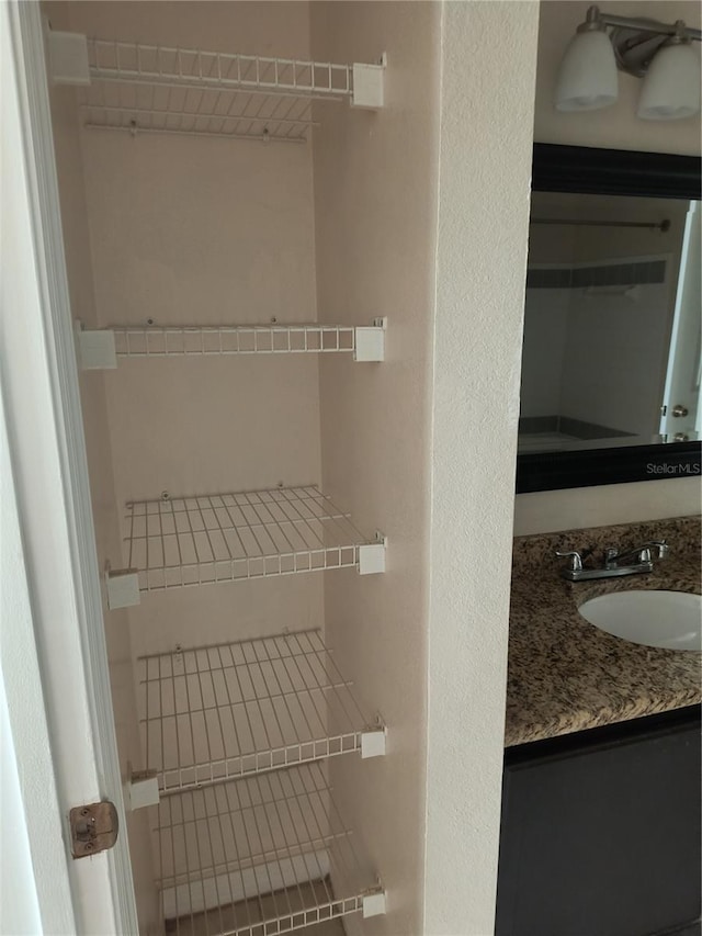closet featuring a sink