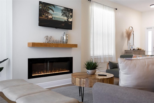 living area with a glass covered fireplace