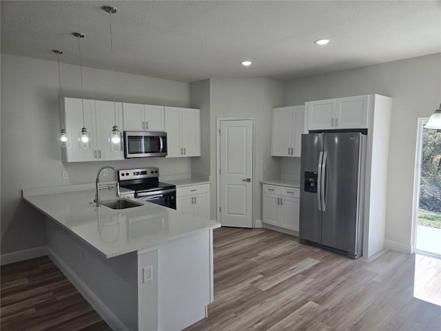 2644 SW 162 Nd Street Rd, Ocala, FL 34473 - kitchen with a peninsula, appliances with stainless steel finishes, wood finished floors, light countertops, and a sink