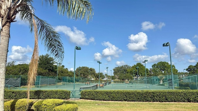 239 Longhirst Loop, Ocoee, FL 34761 - view of tennis court