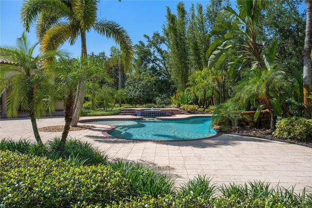 3412 Lilas Ct, Windermere, FL 34786 - view of pool featuring a pool with connected hot tub