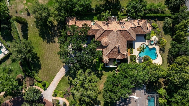 3412 Lilas Ct, Windermere, FL 34786 - bird's eye view