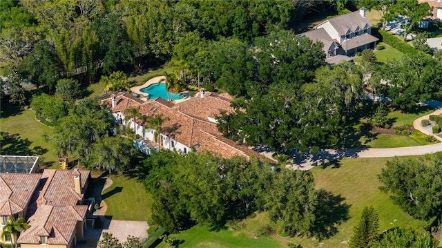 3412 Lilas Ct, Windermere, FL 34786 - drone / aerial view