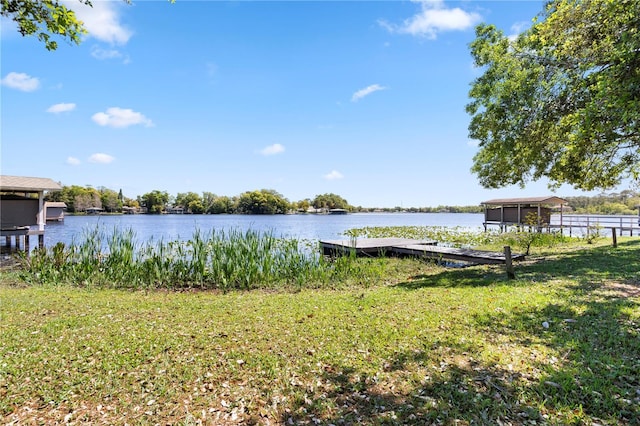 8616 Port Said St, Orlando, FL 32817 - dock area with a water view and a lawn