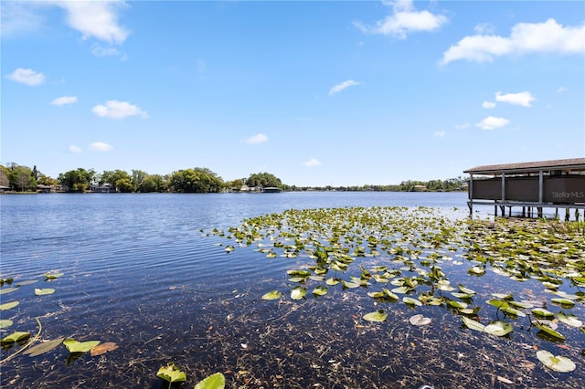 8616 Port Said St, Orlando, FL 32817 - view of water feature