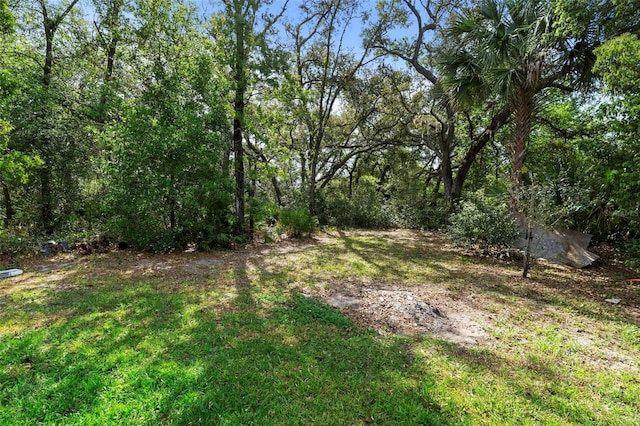 view of yard featuring a wooded view